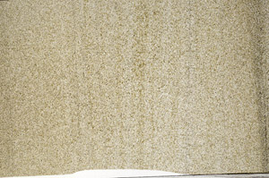 Plane Polarized, N2899