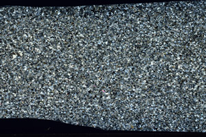 Cross Polarized, N2905