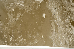 Plane Polarized, N2912