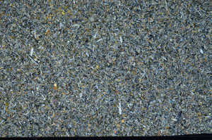 Cross Polarized, N2922