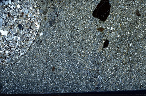 Cross Polarized, N2923