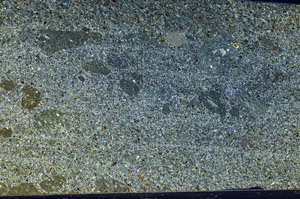 Cross Polarized, N2924