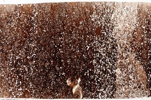 Plane Polarized, N2928