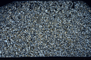 Cross Polarized, N2936