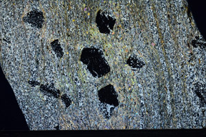 Cross Polarized, N2939