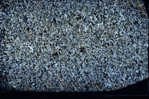 Cross Polarized, N2941