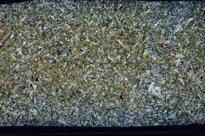 Cross Polarized, N2945