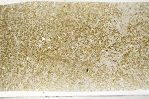 Plane Polarized, N2945