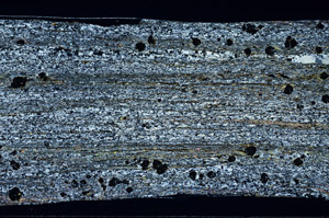 Cross Polarized, N2947