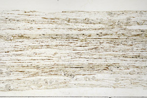 Plane Polarized, N2947