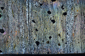 Cross Polarized, N2949