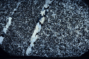 Cross Polarized, N2953