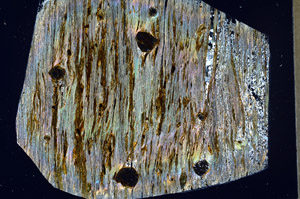 Cross Polarized, N2960