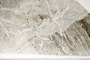 Plane Polarized, N2961