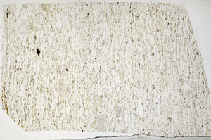 Plane Polarized, N2964
