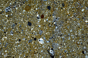 Cross Polarized, N3023