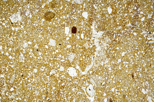 Plane Polarized, N3023