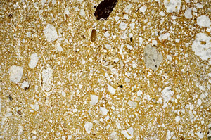 Plane Polarized, N3024