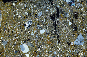 Cross Polarized, N3025