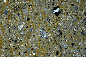 Cross Polarized, N3027