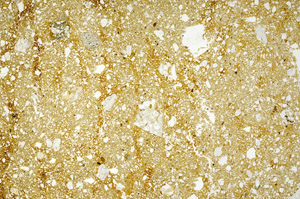 Plane Polarized, N3027