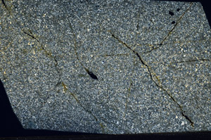 Cross Polarized, N3048