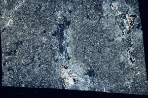 Cross Polarized, N3052