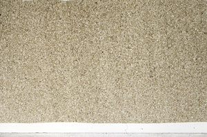 Plane Polarized, N3057