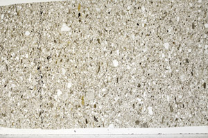 Plane Polarized, N3058