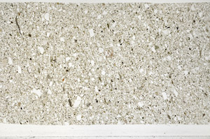 Plane Polarized, N3060