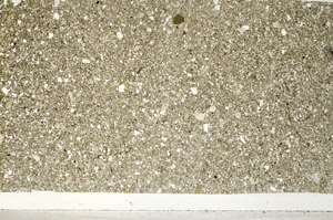 Plane Polarized, N3061