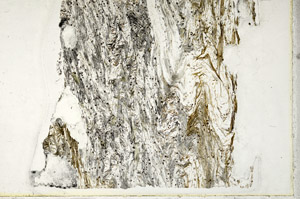 Plane Polarized, N3074