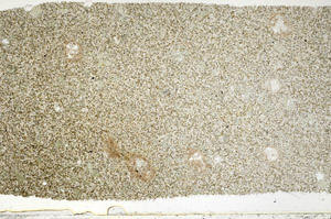 Plane Polarized, N3089