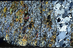 Cross Polarized, N3102