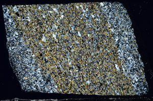 Cross Polarized, N3105