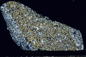 Cross Polarized, N3105/B