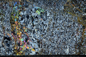 Cross Polarized, N3118