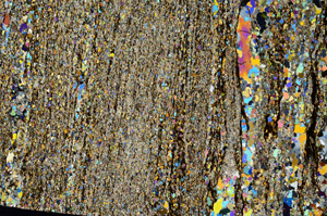 Cross Polarized, N3122/B