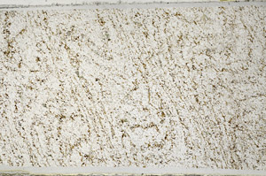 Plane Polarized, N3123