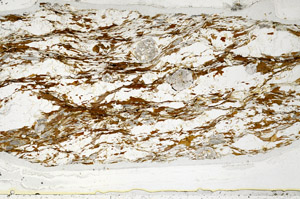 Plane Polarized, N3125