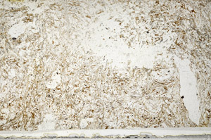 Plane Polarized, N3129