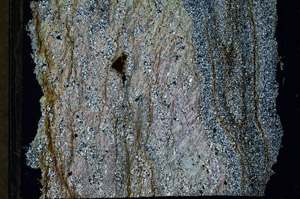 Cross Polarized, N3135