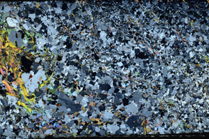 Cross Polarized, N3139