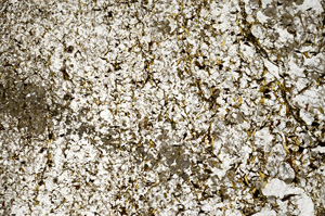 Plane Polarized, N3139/B