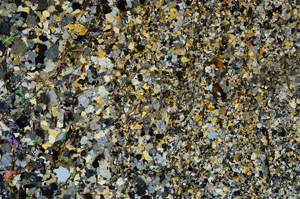 Cross Polarized, N3139/C