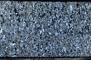 Cross Polarized, N3158