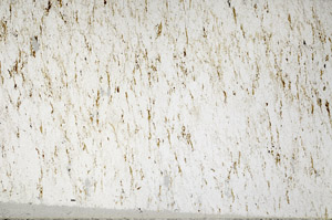 Plane Polarized, N3158/B