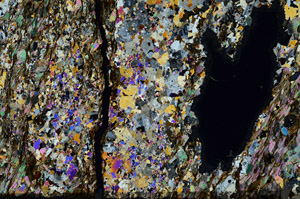 Cross Polarized, N3160