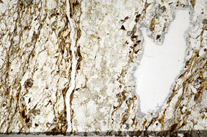 Plane Polarized, N3160