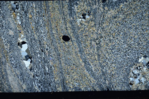 Cross Polarized, N3166